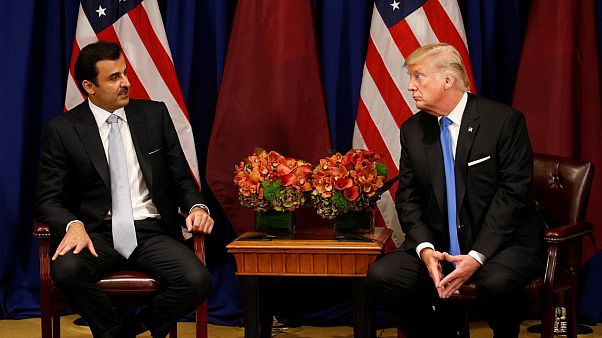 Trump, Katar Emiri ile Taliban'ın serbest bıraktığı rehineleri görüştü Trump, Katar Emiri ile Taliban'ın serbest bıraktığı rehineleri görüştü