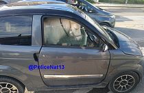 Was war da los? Das Pony auf dem Beifahrersitz