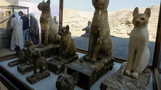 من الآثار المكتشفة والتي عرضتها وزارة الآثار المصرية