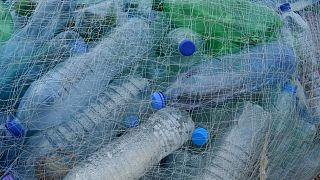 Microplastics are 'omnipresent' in European rivers, scientists say