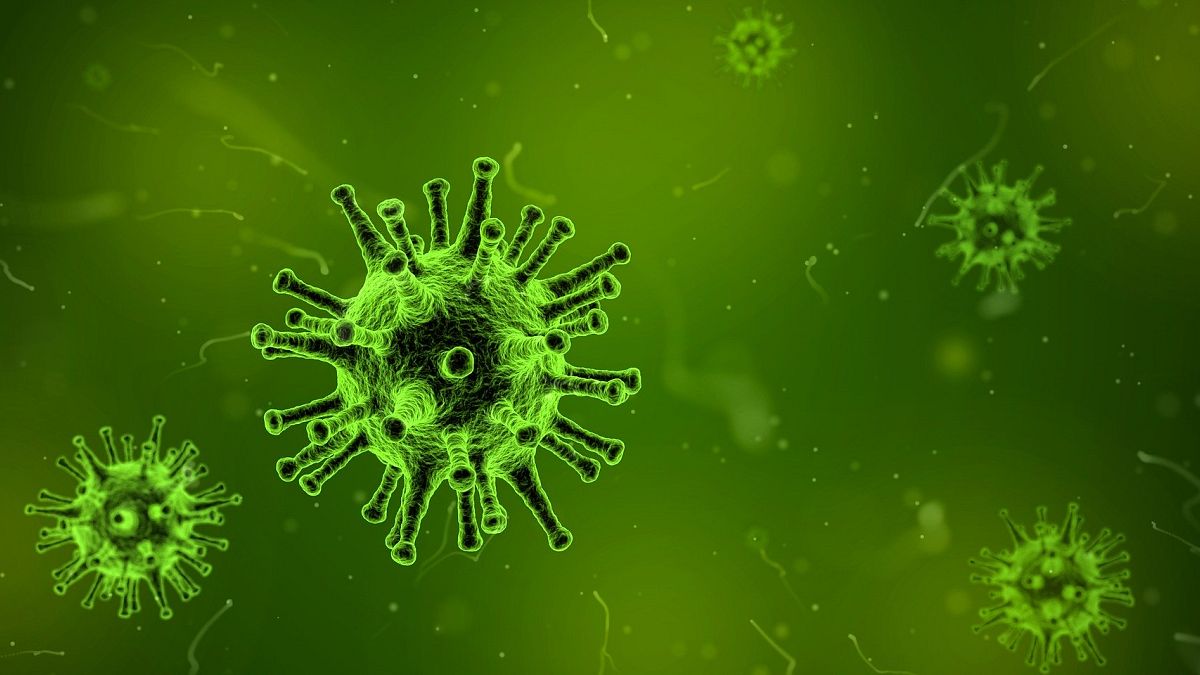 Neues Coronavirus verursacht mysteriöse Lungenentzündungen