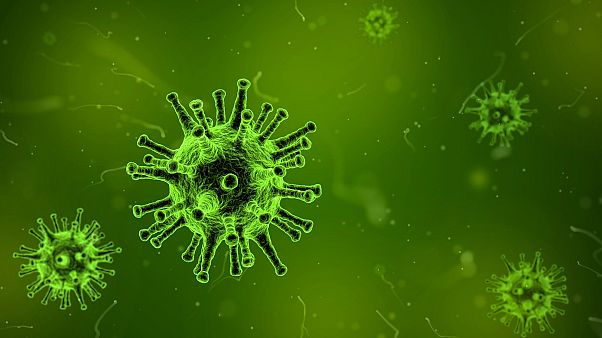 Neues Coronavirus verursacht mysteriöse Lungenentzündungen Neues Coronavirus verursacht mysteriöse Lungenentzündungen