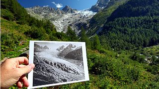 انتشار تصاویر تکان‌‌دهنده از ذوب یخچال‌های طبیعی سوئیس
