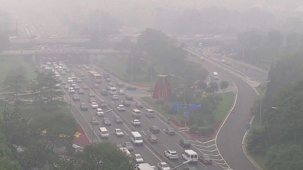 WMO-Bericht: Treibhausgase in der Atmosphäre steigen auf Rekordniveau WMO-Bericht: Treibhausgase in der Atmosphäre steigen auf Rekordniveau