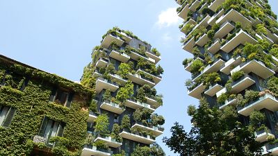 Green cities could be helping people to live longer by creating more natural spaces. Green cities could be helping people to live longer by creating more natural spaces.