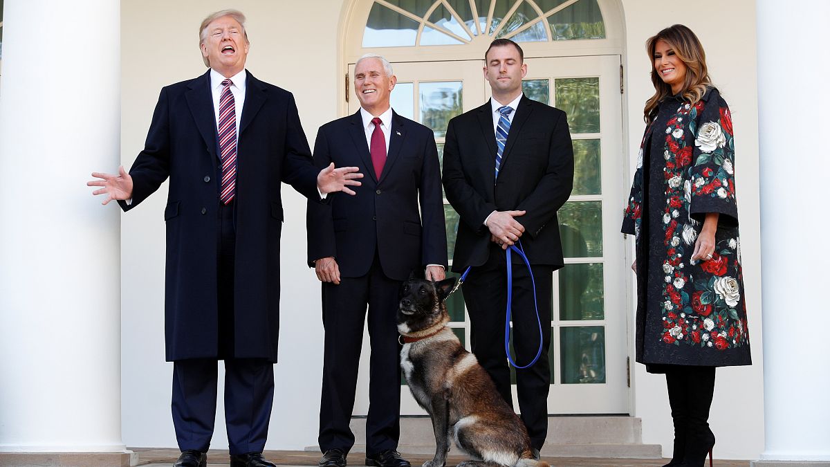 "Wenn Sie den Mund aufmachen": Trump ehrt Hund Conan - 10 Bilder