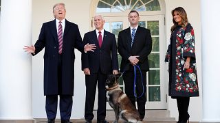 "Wenn Sie den Mund aufmachen": Trump ehrt Hund Conan - 10 Bilder