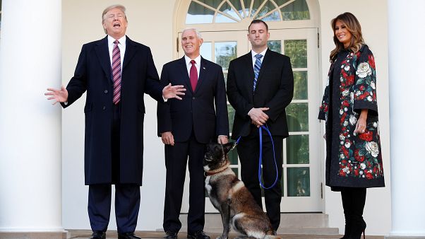 "Wenn Sie den Mund aufmachen": Trump ehrt Hund Conan - 10 Bilder "Wenn Sie den Mund aufmachen": Trump ehrt Hund Conan - 10 Bilder
