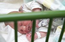 Nőtt a természetes fogyás mértéke az idén