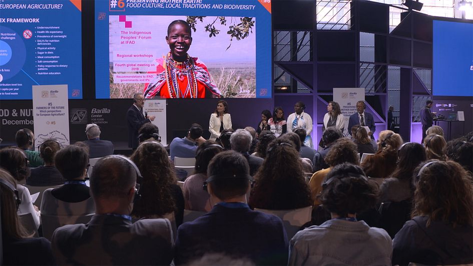 Alimentação sustentável: o futuro verde da nutrição