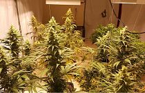 اروپا؛ بهشت قاچاقچیان و مصرف کنندگان مواد مخدر