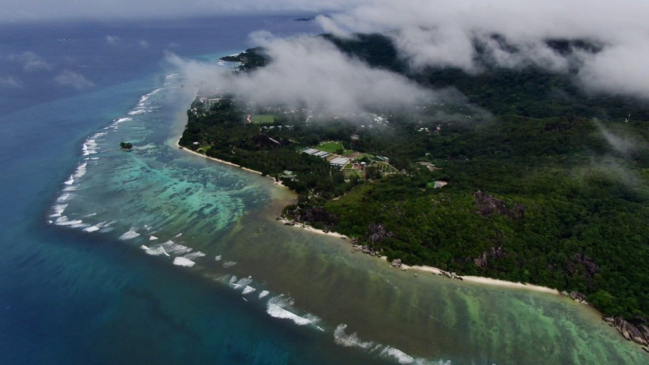NGOs work to rebuild vital coral reefs, but islands threatened by climate change need much more help NGOs work to rebuild vital coral reefs, but islands threatened by climate change need much more help