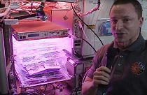 Спроси нашего астронавта | Какие съедобные растения выращивают в космосе?