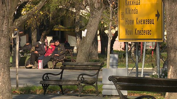 Migranti: sempre più persone arrivano in Serbia Migranti: sempre più persone arrivano in Serbia