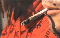 Hasch für 11,6 Milliarden Euro: Der EU-Drogenbericht