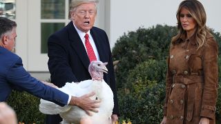 Trump: Pardoned Thanksgiving turkeys have 'already received subpoenas'