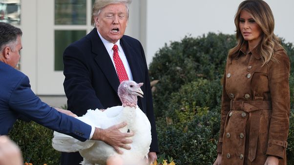 Trump bromea sobre su impeachment durante el tradicional indulto del pavo Trump bromea sobre su impeachment durante el tradicional indulto del pavo
