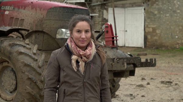 Après les Allemands, pourquoi les agriculteurs français se mobilisent-ils ? Après les Allemands, pourquoi les agriculteurs français se mobilisent-ils ?