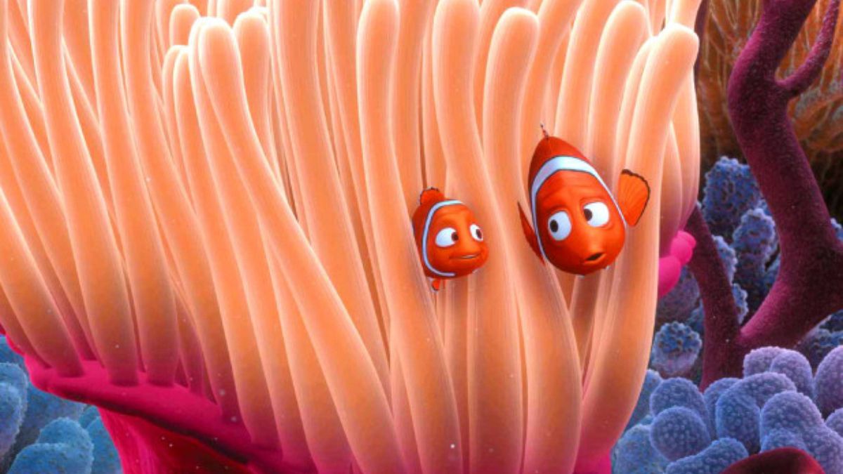 İklim krizi nedeniyle Nemo'yu sonsuza kadar kaybedebiliriz