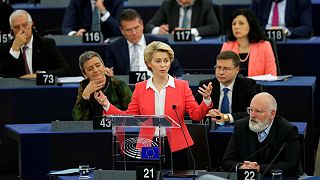 پارلمان اروپا با نامزدهای پیشنهادی فن در لاین برای عضویت در کمیسیون اروپا موافقت کرد