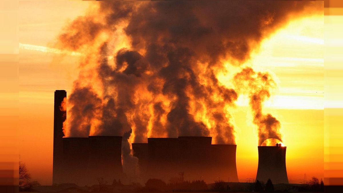 İklim krizi: Sera gazlarının emisyonlarını azaltmakta karbon dengeleme nedir? İşe yarıyor mu?