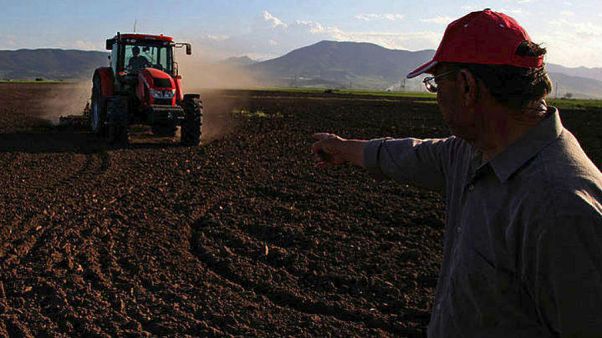 Πρόβλημα για τους Έλληνες αγρότες οι δασμοί των ΗΠΑ Πρόβλημα για τους Έλληνες αγρότες οι δασμοί των ΗΠΑ