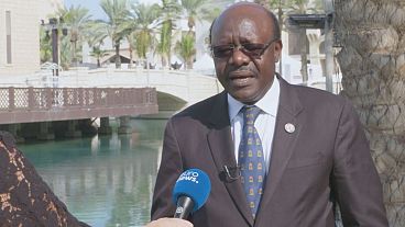 African business summit heralds new opportunities for regional trade