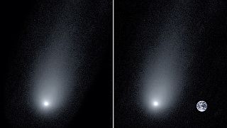 Κομήτης Μπορίσοφ