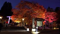 O outono vermelho e azul em Urabandai no Japão
