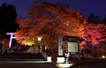 O outono vermelho e azul em Urabandai no Japão