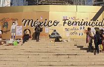 Amnesty International: "Il Messico ha violato i diritti umani"