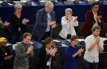 MEPs back 'climate emergency' resolution to push for more aggressive action