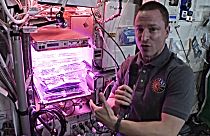گزارش‌های یورونیوز از ایستگاه فضایی؛ کشاورزی در فضا