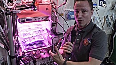 گزارش‌های یورونیوز از ایستگاه فضایی؛ کشاورزی در فضا 