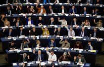 EU-Parlament ruft den Klimanotstand aus