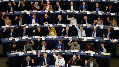 El Parlamento Europeo declara la "emergencia climática"