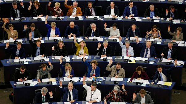 Il Parlamento europeo dichiara l'emergenza ambientale Il Parlamento europeo dichiara l'emergenza ambientale