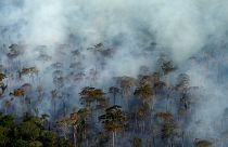 Smoke billows during a fire in an area of the Amazon rainforest near Porto Velho, Rondonia State, Brazil, September 10, 2019