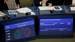 نتائج تصويت البرلمان الأوروبي على قرار إعلان حالة الطوارئ المناخية والبيئية في العالم