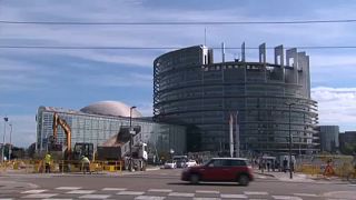 Le Parlement européen déclare l'urgence climatique et environnementale