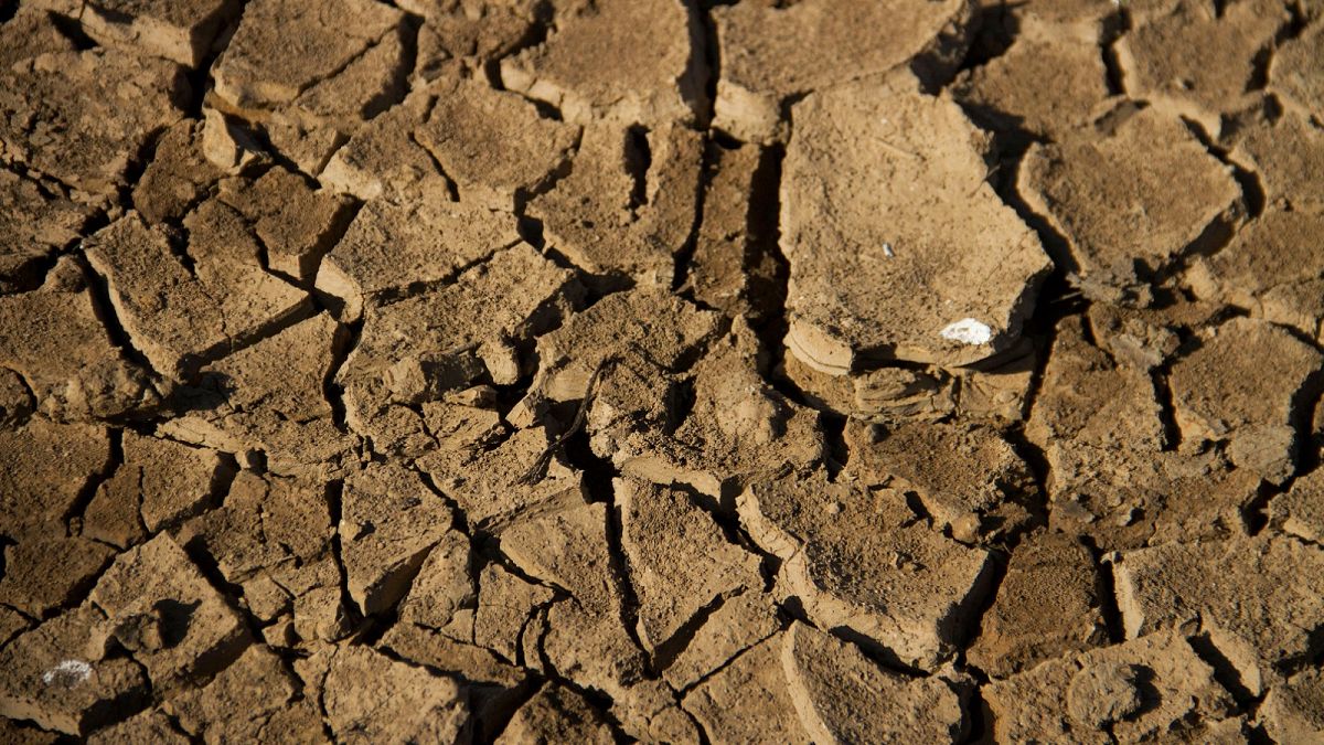 A view shows dried cracked up soil on the edge of the Lake Wegnia, in Sahel region of Koulikoro
