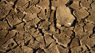 A view shows dried cracked up soil on the edge of the Lake Wegnia, in Sahel region of Koulikoro