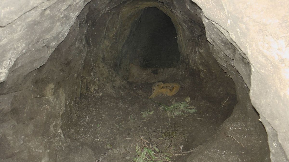Álcázott, illegális alagutak a szerb-magyar határ alatt