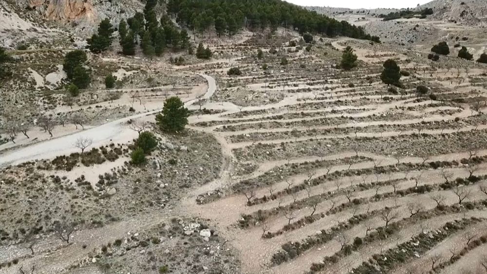 España lucha contra las arenas del desierto