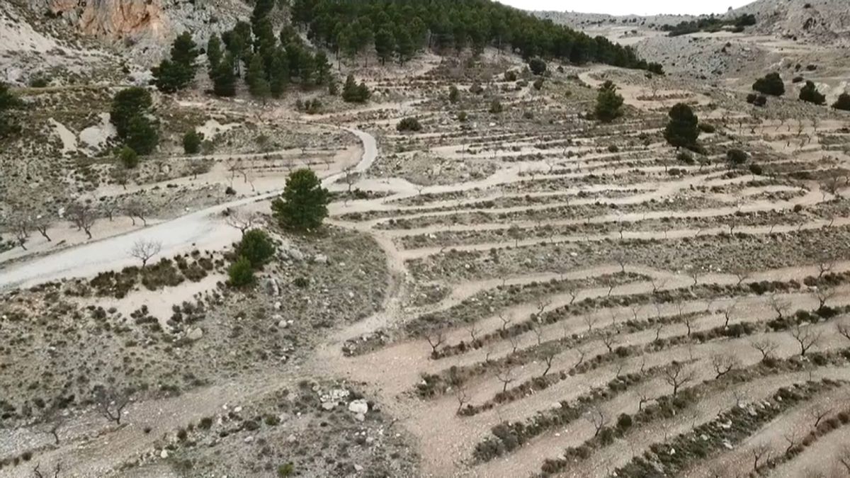Spanien kämpft gegen den Wüstensand