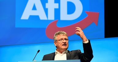 German Far Right Afd Party Elects New Leader Backed By Radical Wing Euronews