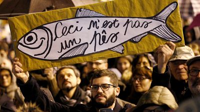 Milano'da 25 bin 'sardalya' eylemcisi Salvini ve aşıra sağa karşı yürüdü