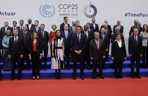 COP25: "Зелёная революция" и налог на выбросы