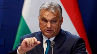 Viktor Orban has been in power since 2010