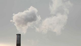 EU-Umwelt-Agentur schlägt Alarm: Klimaziele werden nicht erreicht